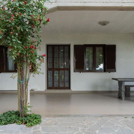 Apartment Rosa Bacara By Interhome Bolsena Extérieur photo